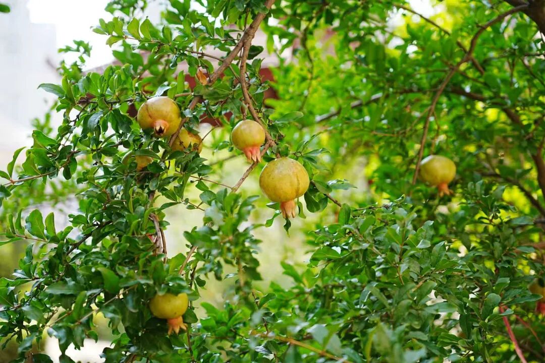 天氣變化添衣保暖_雨天接送孩子安全_出行提示