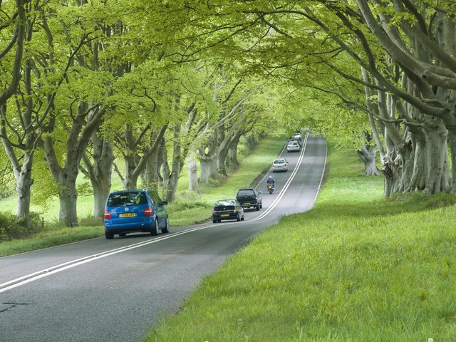 出行提示_強(qiáng)降雨天氣自駕出行注意事項(xiàng)_強(qiáng)降雨出行安全提示