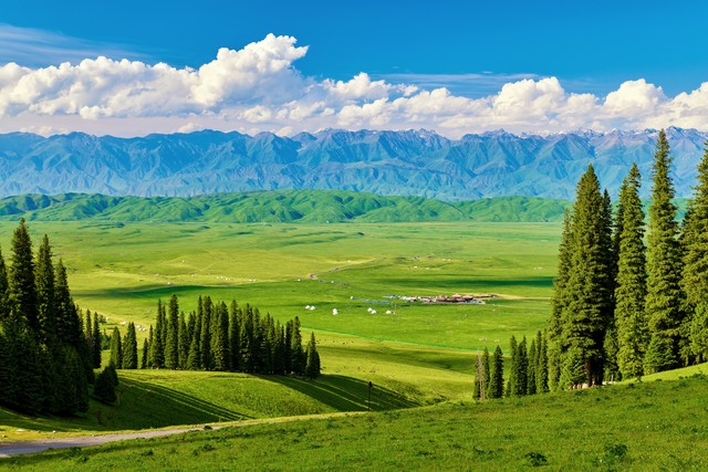 2026新車(chē)牌改革_8位號(hào)牌分類標(biāo)識(shí)_限行