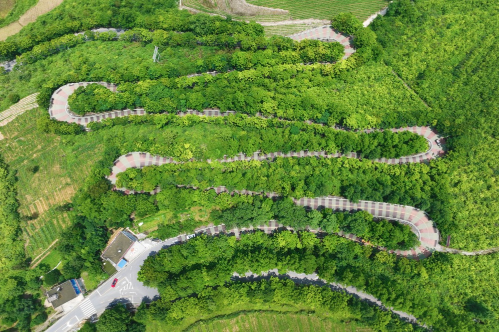 農(nóng)村道路交通安全提示_出行提示_駕駛?cè)顺鲂邪踩?/></p>

<p>駕駛?cè)似?/p>
<p>農(nóng)村道路出行安全提示</p>
<p>出車之前要對車況展開檢查，圍繞車輛走上一圈，對胎壓進行檢查，對燈光加以檢查，對剎車予以檢查，以此來保證車況處于良好的狀態(tài)。</p>
<p>第②點，一盔一帶，安全常在，不管是駕駛小轎車，還是乘坐車輛當中的前排，或者后排，所駕乘人員都必須系好安全帶，騎乘摩托車、電動車時，請正確佩戴合格的安全頭盔，對于拖拉機、三輪車，車尾務必一定要貼好反光貼，用以提示后車避開避免追尾。</p>

<p>要守法，做到文明出行，不進行無證的駕駛行為，不酒后駕車，不超員超載，不非法載人，不疲勞駕駛，遵守交通安全法律法規(guī)，從而文明出行 。</p>
<p>④駕車出行之際，心態(tài)需保持那種平和的狀態(tài) ，視線要朝著遠處去放 。碰到農(nóng)用車 ，碰到三輪車 ，要懷揣耐心去跟隨 ，挑選安全地段之后再超車 。路過村口時 ，經(jīng)過路口時 ，穿過巷口時 ，務必要提前降低速度 ，并且鳴響喇叭 。</p>

<p>行人篇</p>
<p>農(nóng)村道路出行安全提示</p>
<p>步行之際，當盡可能游走于硬化路面之邊緣地帶或者專門設置之人行通道上面，需避開那些存在坑洼以及破損狀況的路段，并且要沿著邊緣行走；而當路過路口、彎道、坡頂?shù)葘儆谝暰€盲區(qū)的區(qū)域之時，務必要格外留意進行觀察。</p>
<p><img src=