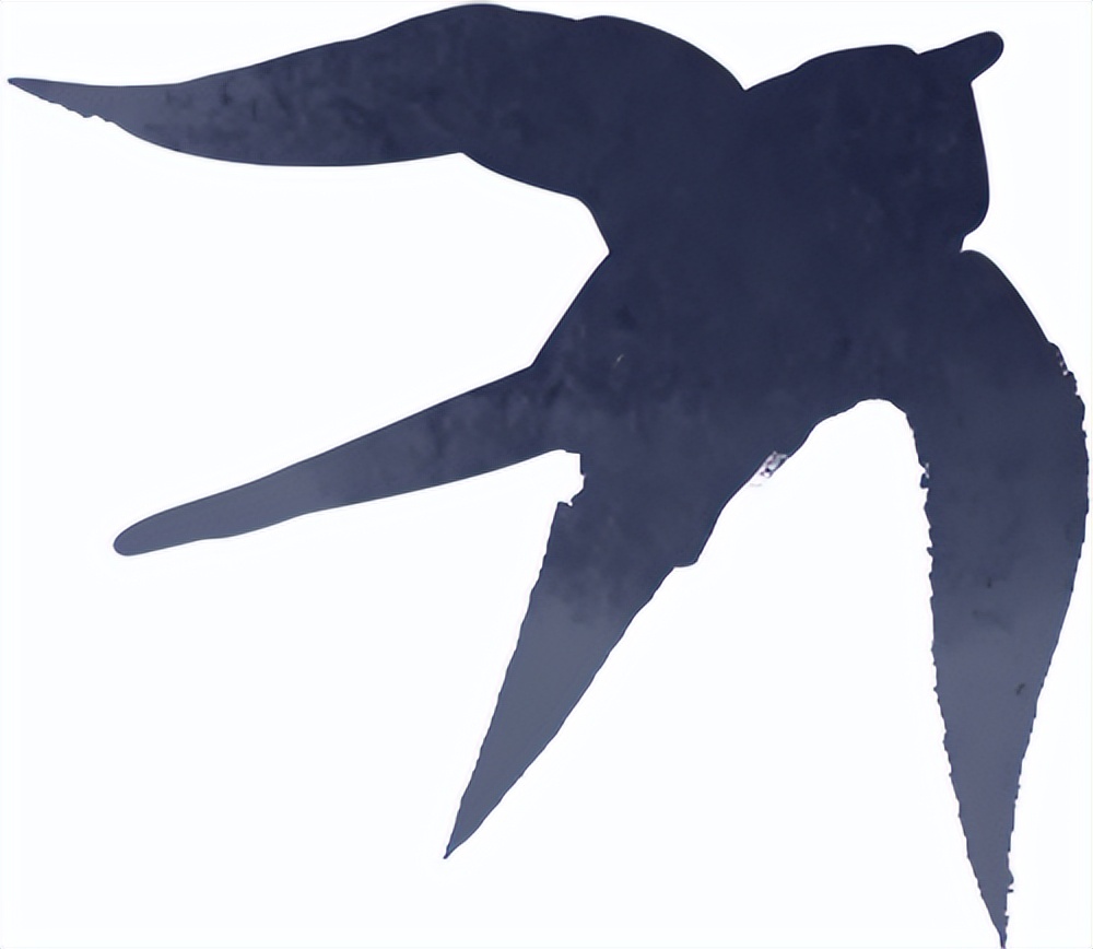 秋季雨霧行車安全_出行提示_雨霧天氣駕駛注意事項(xiàng)