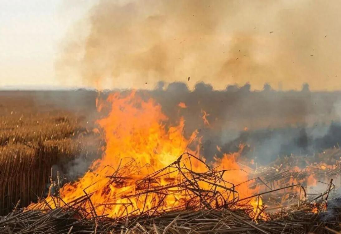 高速公路禁燒規(guī)定_出行提示_秸稈焚燒危害