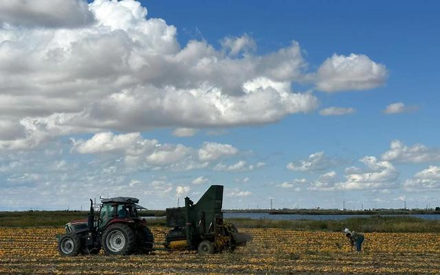 基礎(chǔ)設(shè)施維修挑戰(zhàn)_路況_美國(guó)道路狀況