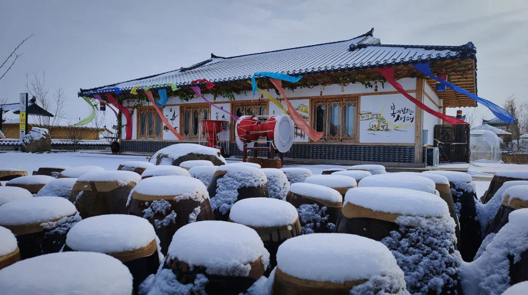 延邊元旦假期道路交通安全提示_出行提示_2026年元旦延邊交警安全出行攻略