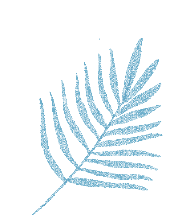 出行提示_明顯降雪天氣預報_大風降溫天氣預報