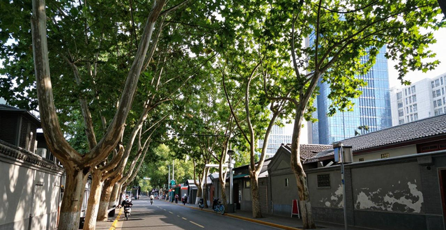 北京限行政策外地車(chē)規(guī)定_北京限行政策區(qū)域劃分_限行